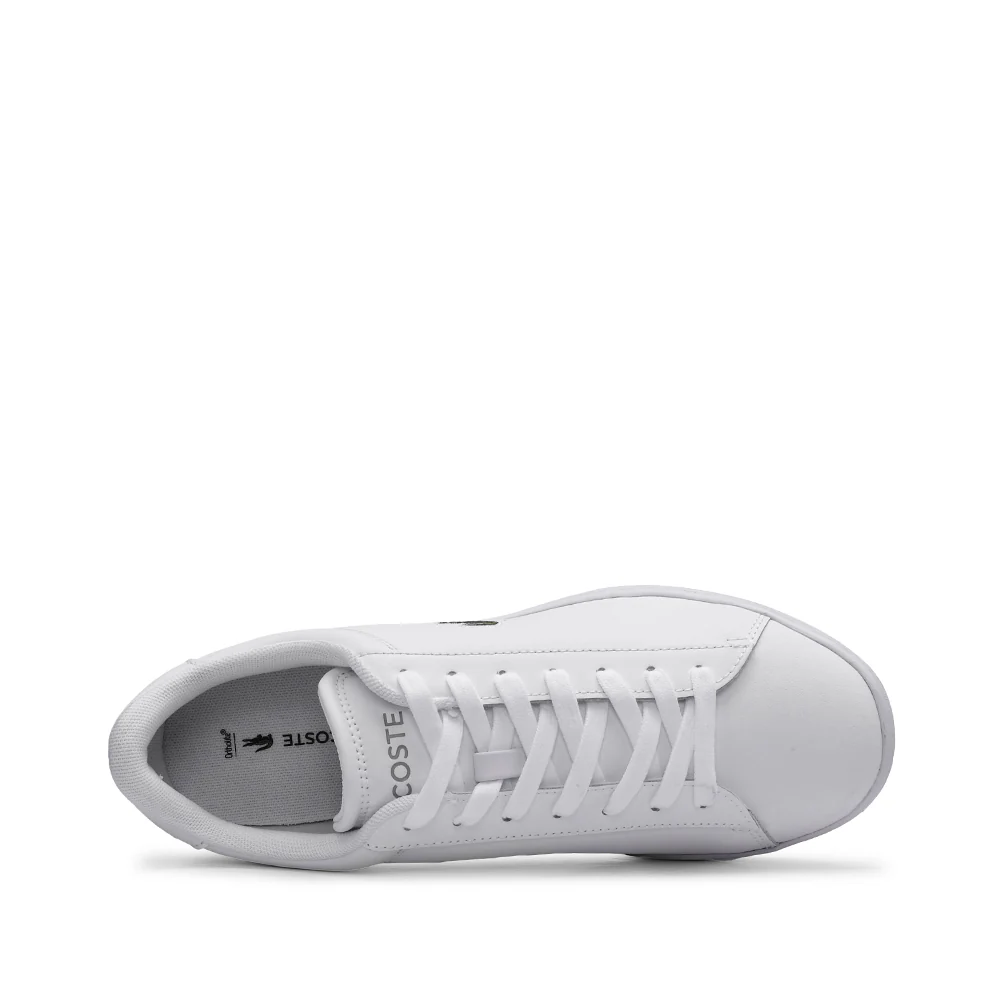 Sapatilha Casual Homem Branco - Image 4