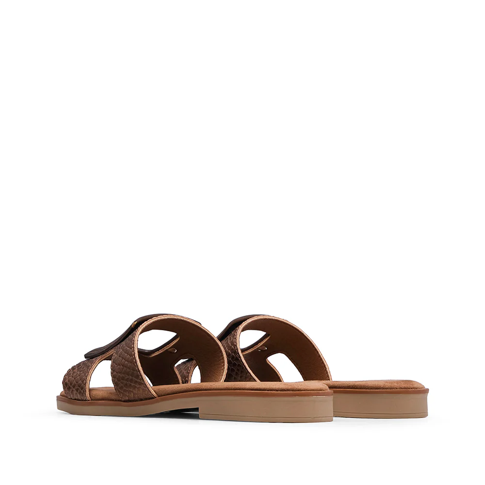 Chinelo Casual Mulher Castanho - Image 3