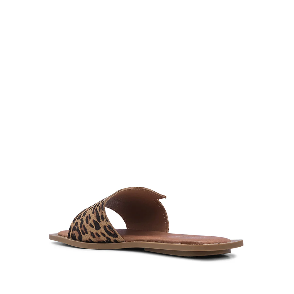 Chinelo Casual Mulher Camurça Leopardo - Image 4