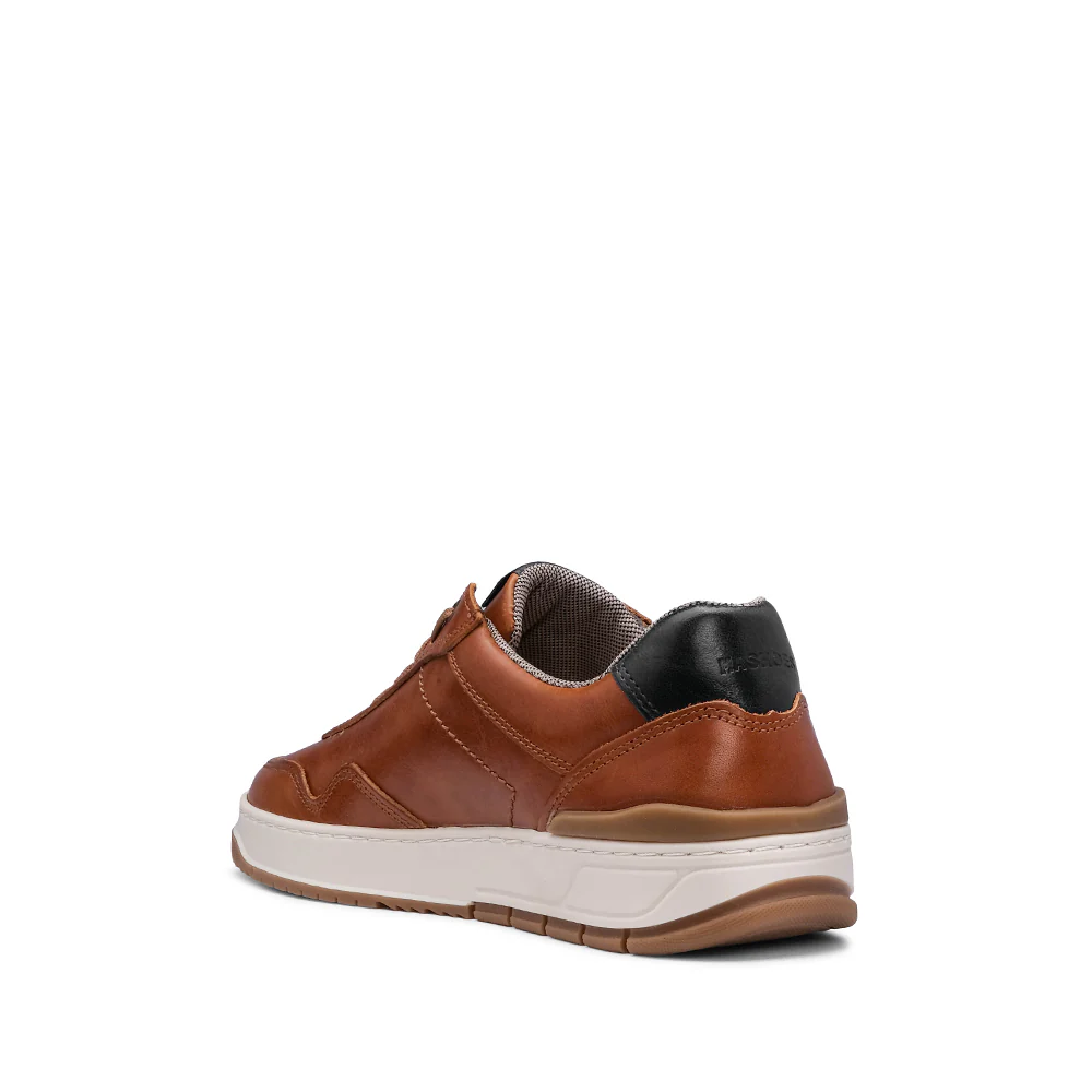 Sapatilha Casual Homem Pele Camel - Image 4