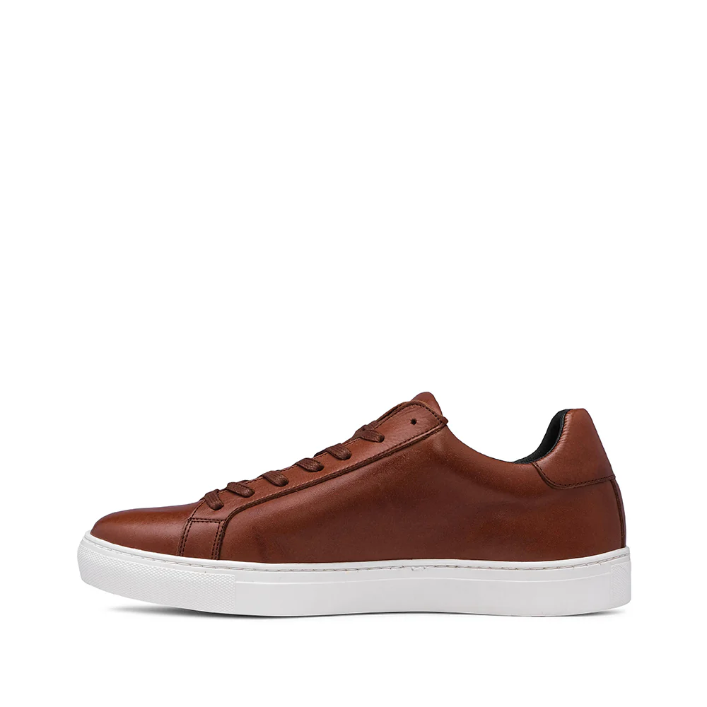 Sapatilha Casual Homem Pele Camel - Image 2